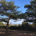 6 Person In Knebel Ørby